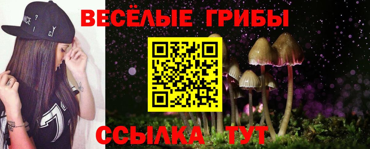 Чапаевск  Псилоцибиновые грибы ЛСД  Галлюциногенные грибы GOLDEN TEACHER  Вход с VPN 