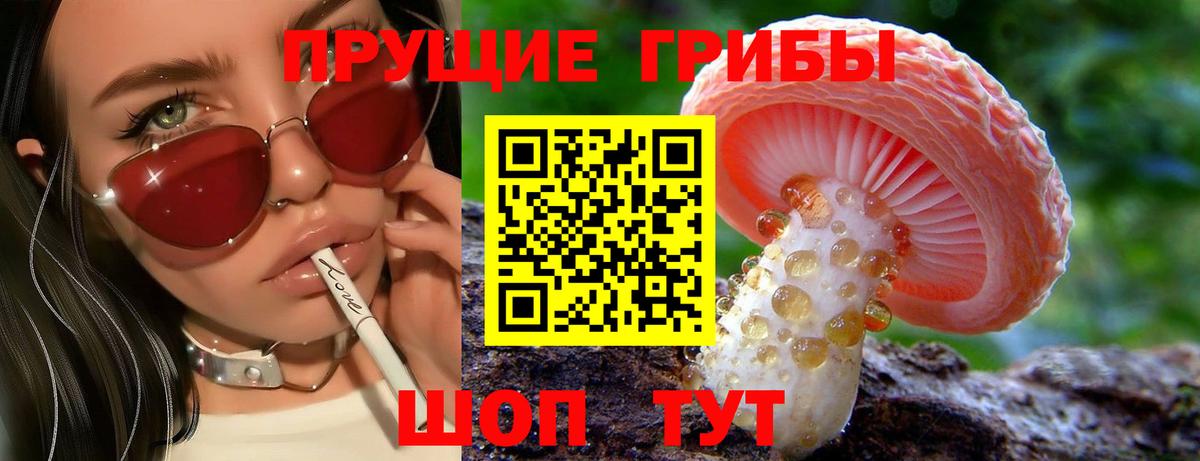 Галлюциногенные грибы GOLDEN TEACHER Чапаевск